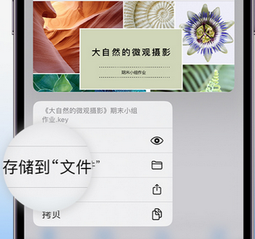 康保apple维修中心分享iPhone文件应用中存储和找到下载文件