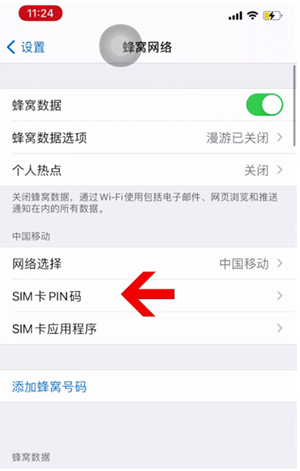 康保苹果14维修网分享如何给iPhone14的SIM卡设置密码 