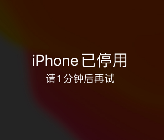 康保苹果手机维修分享:iPhone 显示“不可用”或“已停用”怎么办？还能保留数据吗？ 