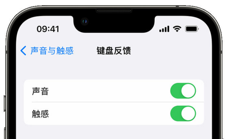 康保苹果手机维修分享iPhone 14触感键盘使用方法 