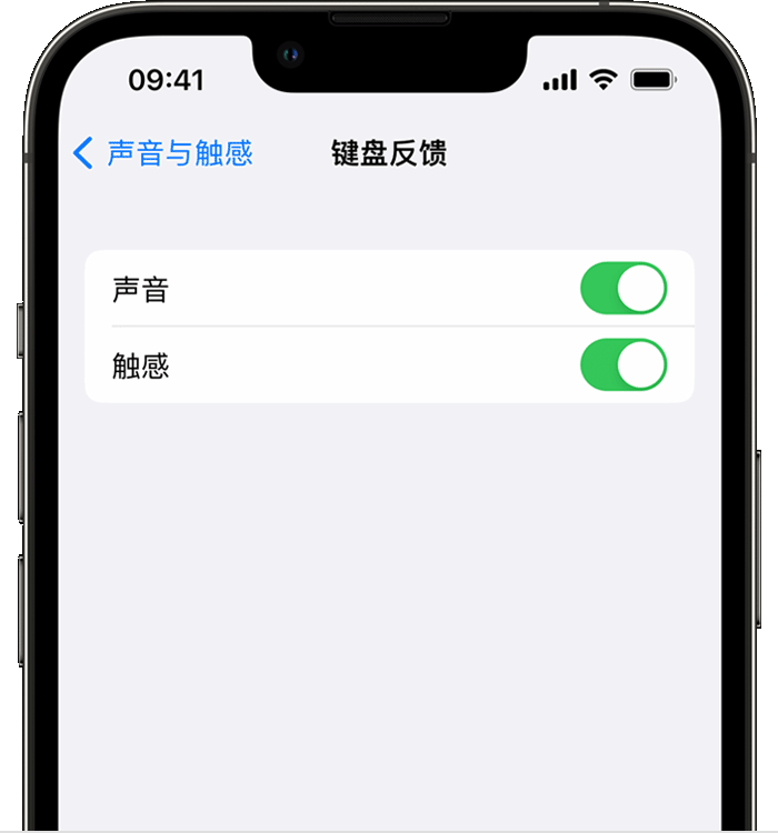 康保苹果14维修店分享如何在 iPhone 14 机型中使用触感键盘 