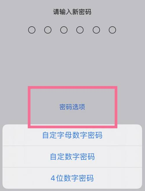 康保苹果14维修分享iPhone 14plus设置密码的方法 