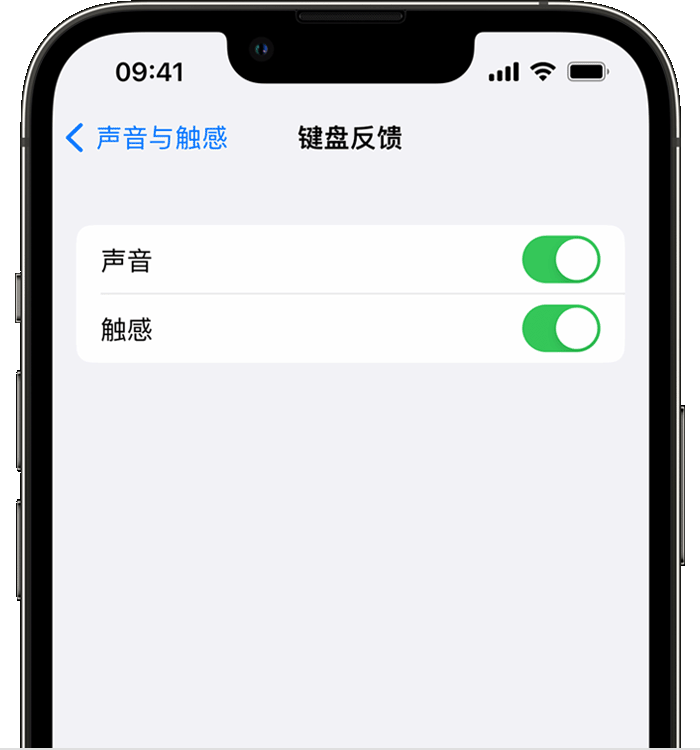 康保苹果14维修分享iPhone 14 系列机型如何开启键盘声音或触感反馈 