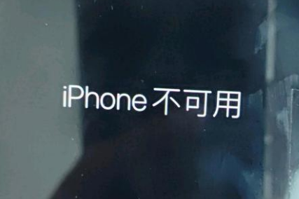 康保苹果服务网点分享锁屏界面显示“iPhone 不可用”如何解决 