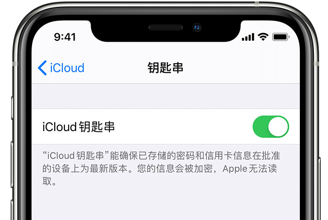 康保苹果手机维修分享在 iPhone 上开启 iCloud 钥匙串之后会储存哪些信息 