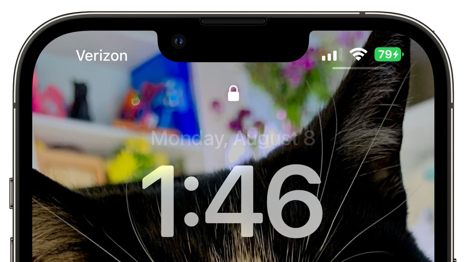 康保苹果手机维修分享iOS 16 beta 5 支持状态栏显示电池百分比，如何开启？支持哪些机型 