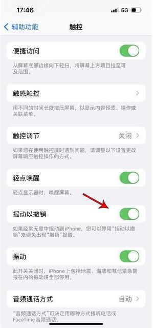 康保苹果手机维修分享iPhone手机如何设置摇一摇删除文字 