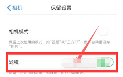 康保苹果13维修分享iPhone13拍照有绿点是怎么回事 