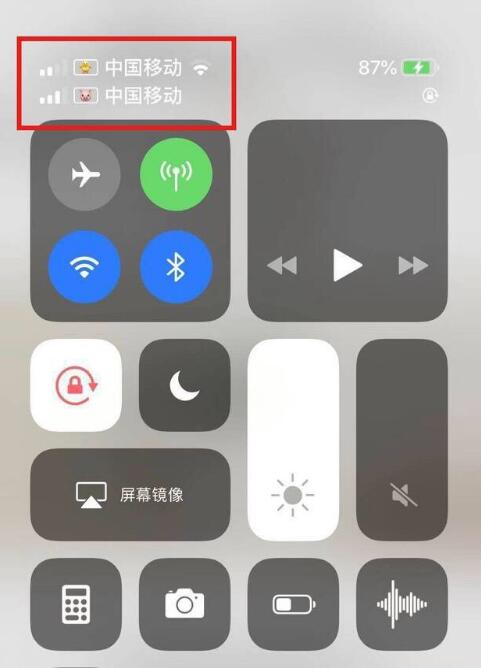 康保苹果手机维修分享为 iPhone 12 双卡设置标签 
